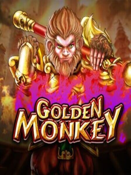 Tournament Management Made Easy: TourneyKing\